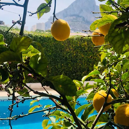 Casa Soleada En Διαμέρισμα Κάλπε